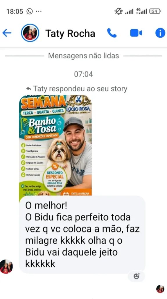 Depoimento de Taty Rocha no Instagram sobre o pet Bidu